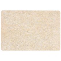40 x 60, marrone collezione Gobi, tappetino da doccia, 100% poliestere microfibra - Spirella