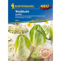 Spitzkohl Caraflex Brassica oleracea var. capitata f. alba, Inhalt ca. 20 Pflanzen Gemüsesamen - Kiepenkerl