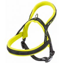 Ferplast - sport dog p Harnais pour chiens avec rembourrage soft. Différentes mesures et couleurs fluo.. Variante xs - Misure: a: 39 cm b: 48-58 cm