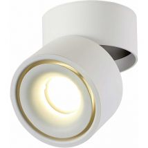 Spots de plafond led 12W Angle de corps de lampe réglable, Lampe de spots, Applique de plafond, spots de plafond réglables, led 10x10x10cm