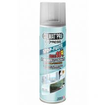 Passat - Spray Bitume Colmat'Pro Express Incolore 300ml