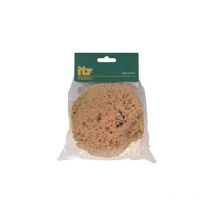 Spugna decorativa sm itr