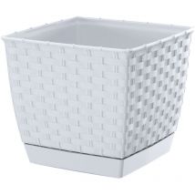 Square 6L Ratolla Pot., Dimensions (mm) 220x220x189, couleur blanche