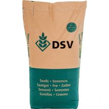 Dsv - Srem Sorghum Öko (sorghum Sudanense) 1 Einh. (300.000 Körner)