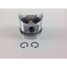 Standard Segmentkolben 80 Mm Diesel-motor Ruggerini Rf80 Rf81 Rd80 A2077