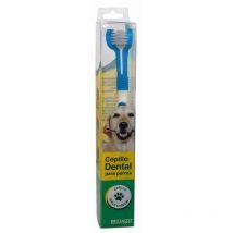 Cepillo Dental Difresh, En Estuche - Stangest