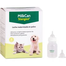 Stangest - Leche en Polvo Milk Can 400 Gr + Biberon