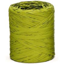 Filcas rouleau polyraphia, vert mousse, taille unique pennsylvania new flower 158.12NA.R41 - Star