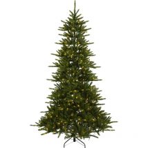 LED-Weihnachtsbaum 'Minnesota', 250x158 cm, grün