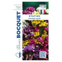Statice sinuata varié - 0,5g