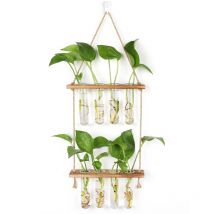 Station de Propagation avec Support en Bois Vase Mural,Verre Suspendu pour Plantes Hydroponiques