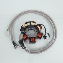 Stator Zündung Rms Für Roller Piaggio 50 Nrg 2001 Bis 2004