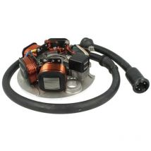A2zworld - Statore Per Moto Piaggio Vespa FL2 50cc 1991-1997 oem 430192