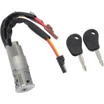 Ahlsen - Steering Cylinder Lock with Key, Ignition Starter Switch Lock Cylinder 252521 Replacement for ax Berlingo Evasion