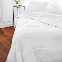 Toison-dor Silkydor Luxus-seidigdecke 240x260 Cm