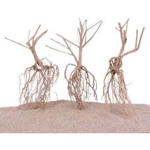 Steppen Wurzel 3 Stück 25-35cm Fingerwurzel Echtholz Deko Aquascaping