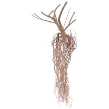 Steppen Wurzel Nr.8407 Fingerwurzel Echtholz Deko Aquascaping
