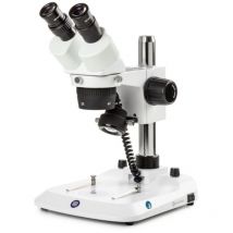 Euromex - Stéréomicroscope binoculaire StereoBlue - 2x/4x - Statif à colonne