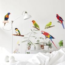 Sticker Autocollant Photo Péroquets Perchés Branche Tropical 68x24cm Décoratif - Autocollant Photo Péroquets Perchés Branche