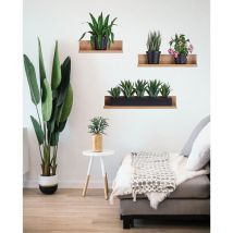 Sticker décoratif autocollant, Stickers Plantes Vertes, Décoration Murale Salon Chambre, 68 cm x 48 cm