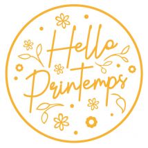 Sticker pour vitrine hello printemps (PRINTEMPS007).- Orange melon - 40 x 40 cm