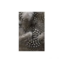 Sticker réfrigérateur et lave vaisselle, duvet confort maison déco, 75 cm X 49 cm