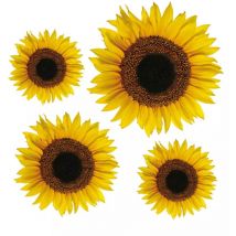 stickers m girasoli - decoro crearreda.