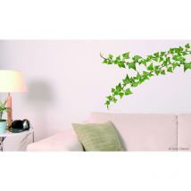 Sticker Autocollant x2 34x48cm Photo Branche Lierre - Déco Murale Intérieure pour Maison et Bureau