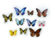 Stickers repositionnables - Papillons colorés
