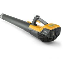 Bl 500e Kit Souffleur de feuilles sans fil - Léger, moteur de 500W, vitesse d&39air de 55m/s, trois vitesses - Batterie 48V 2Ah et chargeur inclus