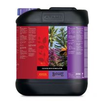 Atami - B'Cuzz Coco Bloom Stimulator 500Ml Fr