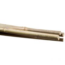 Porte-plantes en bambou 14 16 mm 180 cm - Stocker
