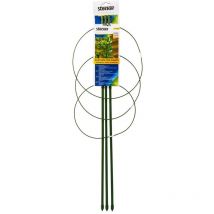 Pflanze unterstützt 60 cm - Stocker