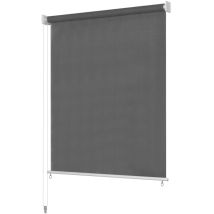 Vidaxl Outdoor Roller Blind 300x230 Cm Anthracite
