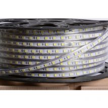 Trade Shop - Tira Led Tira Por Metros Led Luz Fría Cálida Rgb Con Controlador Incluido Para Exterior - Smd 5050