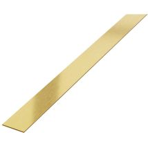 Ilcom - Striscia in acciaio inossidabile decorativa per pareti 5cm x 244cm - oro satinato