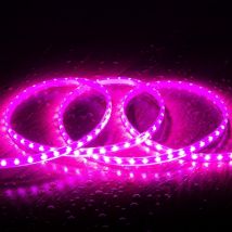 Striscia LED 220V SMD2835 60LED/m Rosa IP65 Larghezza 12mm Taglio 100cm 6 m