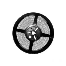 Striscia LED 5m 3528 12V 48W IP65 6000K