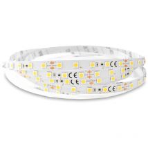 Striscia led dimmerabile DC24V 12,4W/m 60LED/m 884lm/m 120° IP20 5m - Bianco luce diurna 6000K