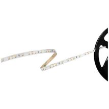 Barthelme Basic 60 51541128 Striscia Led Con Estremità Libera 12 V 5 M Bianco Caldo 1 Pz.