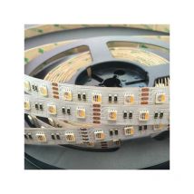 Striscia led rgbw Bianco Giorno 6000K 60LED/m 17W/m - Lunghezza 5m