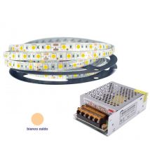 Striscia led smd 5050 300 led 5 metri strip bobina ip 65 calda con alimentatore 5A