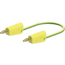 LK-4A-S25 Cavo di misura 100 cm Giallo, Verde 1 pz. - Stäubli