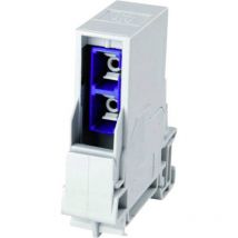 Telegärtner - Prise de raccordement IP44, cat 6a 100022789 RJ45 Profilé support gris 1 pc(s) S377321