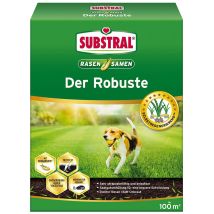 SUBSTRAL Rasensamen Der Robuste 2 kg – Sonne – 2 kg