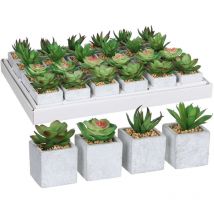 Succulente verde in vaso diversi modelli 8x5cm
