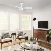 Ventyly - sula Ventilateur de plafond Ø107cm