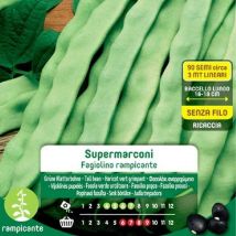 Supermarconi Kletterbohnensamen im Maxi-Umschlag