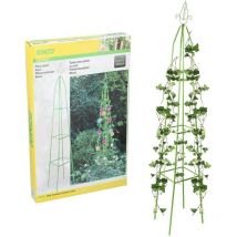 Supporto Piante Fiori Rampicanti Supporto Obelisco Piramide da Giardino 31x200cm