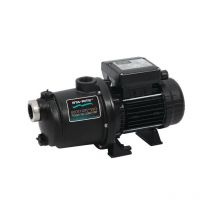 Pentair - Surpresseur monophasé Boost Rite 1CV